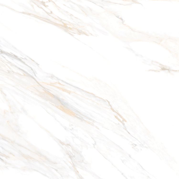Aurum Calacatta Polished 36 x 36